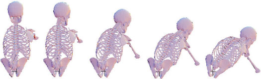 Torso kinematics in seated reaches